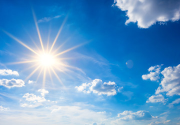 Vitamin D